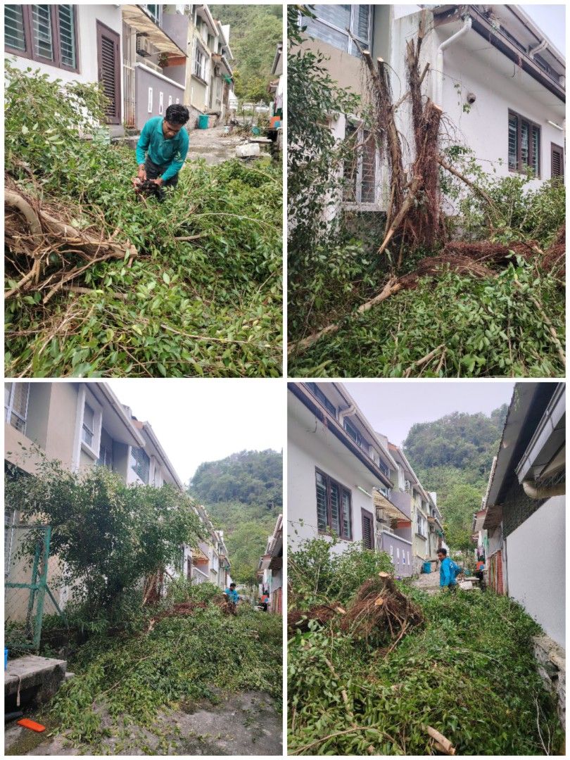 Potong pokok, Jobs, Fulltime, Others on Carousell