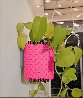 (Category: ) located in . Submitted by oakridge (Listing ID 1325479275, Image 1). Description: .