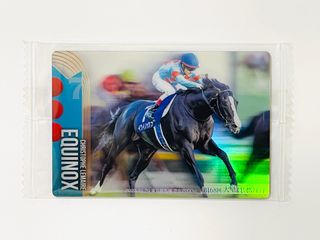 独特な店 ブエナビスタ 天皇賞(秋) PXIK（ミニレター247枚 ミニゼッケン 趣味