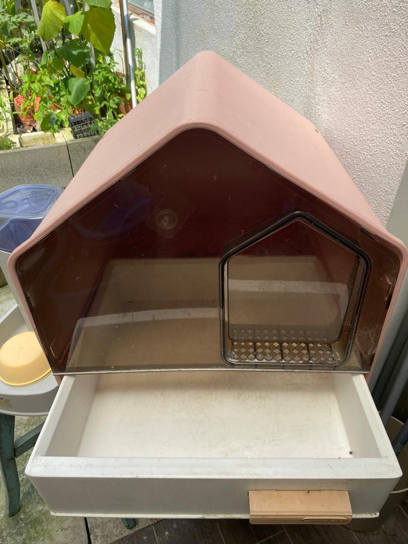 Cst litter box, Pet Supplies, Homes & Other Pet Accessories on Carousell