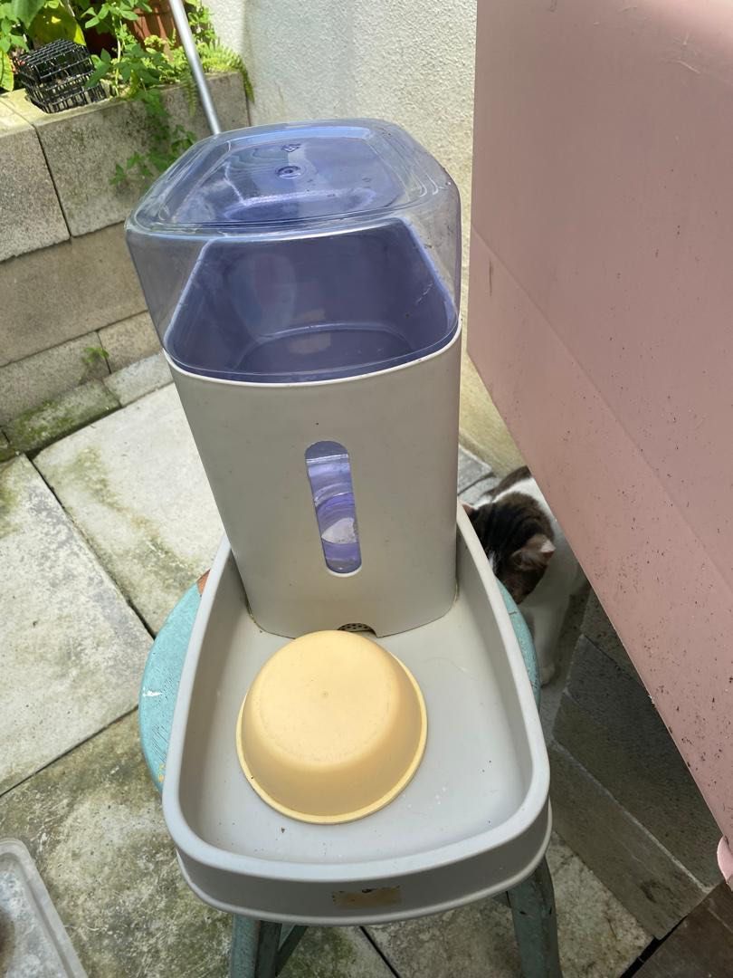 Cst litter box, Pet Supplies, Homes & Other Pet Accessories on Carousell