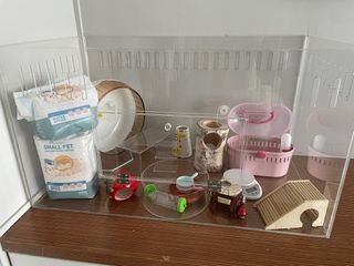 (Category: ) located in . Submitted by ellechue (Listing ID 1325687353, Image 1). Description: .