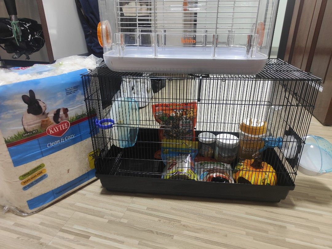 Hamster Starter Pack