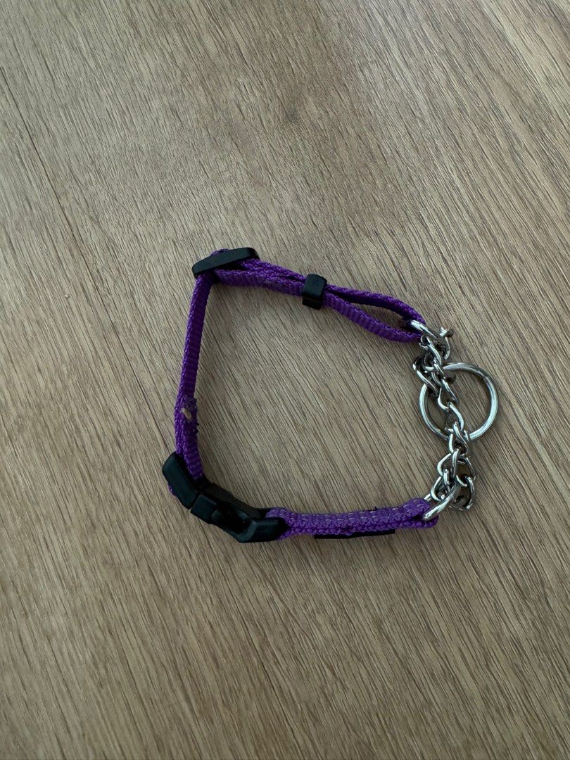 Max and neo stainless steel martingale collar Pet Supplies Homes Other Pet Accessories on Carousell