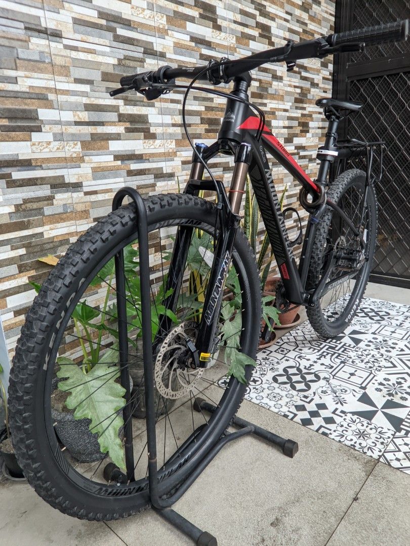mountainpeak storm 29er