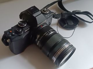 （分類：）位於 。 由 toml. 提交（商品編號 1325694287，圖片 1）。簡介： 。