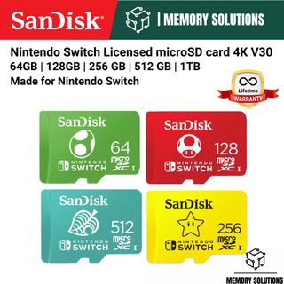 Sandisk Products Collection item 2