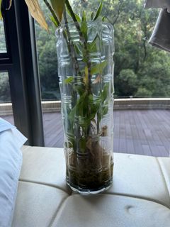 （分類：）位於 。 由 glggarz 提交（商品編號 1325766869，圖片 1）。簡介： 。