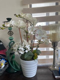 (Category: ) located in . Submitted by nadraibrahim (Listing ID 1325846250, Image 1). Description: .