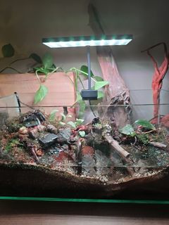 (Category: ) located in . Submitted by eszy (Listing ID 1324132569, Image 1). Description: .