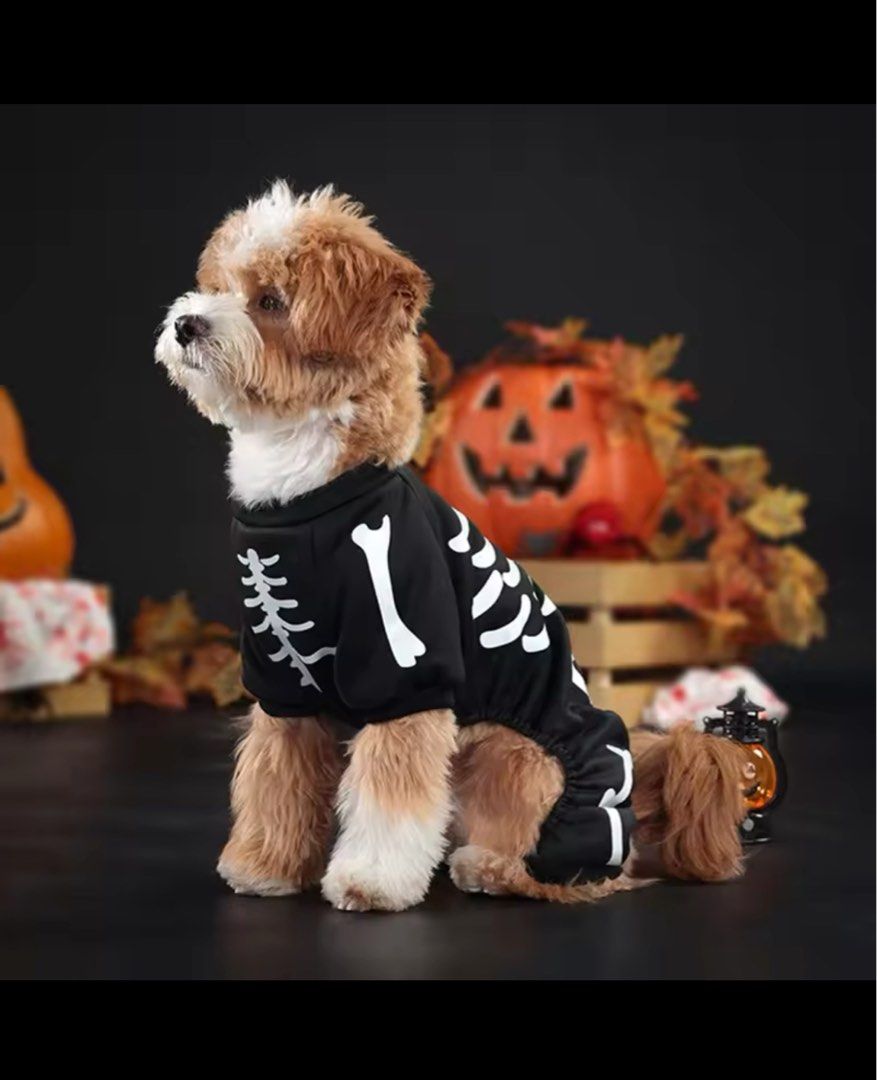 Puppy skeleton costume clearance