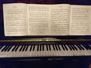 （分類：）位於 。 由 kiabs 提交（商品編號 1325856854，圖片 1）。簡介： 。