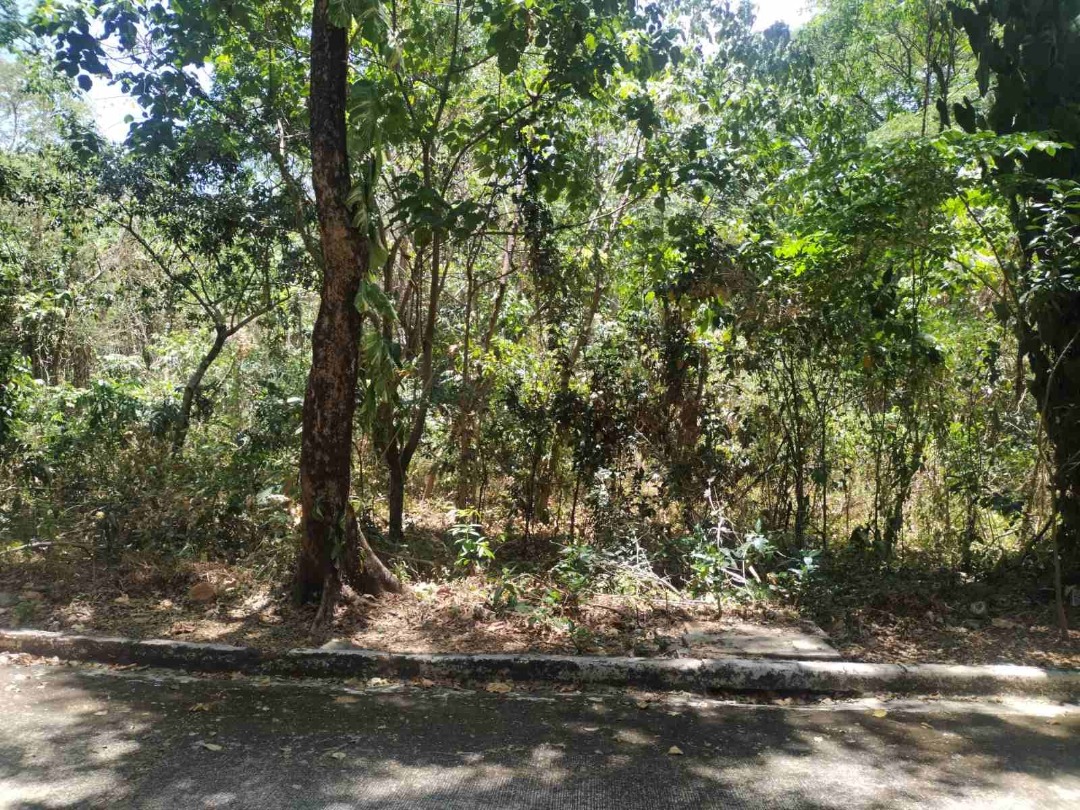 (Category: ) located in . Submitted by REMAXCapital (Listing ID 1325853344, Image 1). Description: .