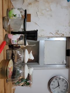（分類：）位於 。 由 repapbebe-26989 提交（商品編號 1326077573，圖片 1）。簡介： 。