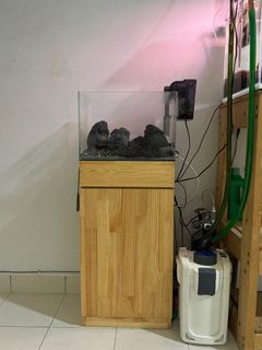 (Category: ) located in . Submitted by nhafezy (Listing ID 1325981006, Image 1). Description: .