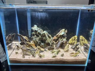 (Category: ) located in . Submitted by nerohaoyue (Listing ID 1326050812, Image 1). Description: .