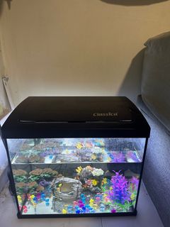 (Category: ) located in . Submitted by ahlian69 (Listing ID 1326131324, Image 1). Description: .
