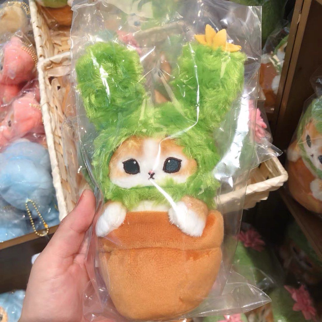 Cactus cat plush store