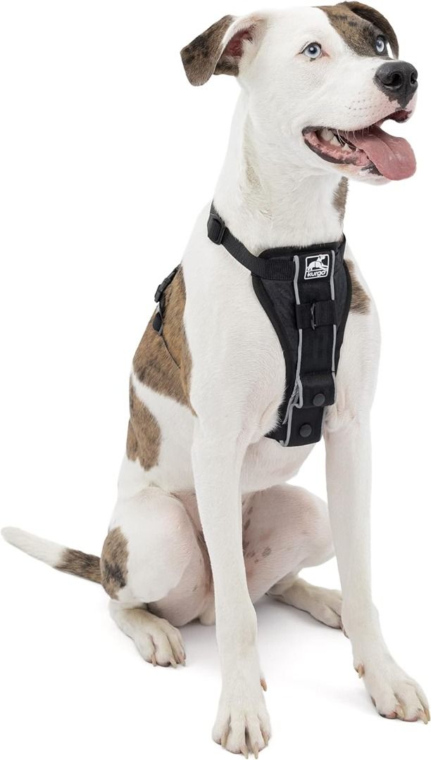 Kurgo no pull dog harness 2025