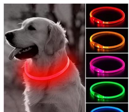 Luminous dog collar top