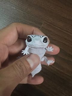 (Category: ) located in . Submitted by apizz.harun99 (Listing ID 1325989566, Image 1). Description: .