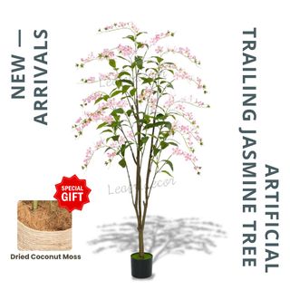 (Category: ) located in . Submitted by evergreen_gardening (Listing ID 1326011347, Image 1). Description: .
