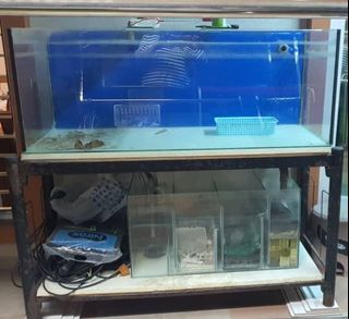 (Category: ) located in . Submitted by e2000 (Listing ID 1325736459, Image 1). Description: .
