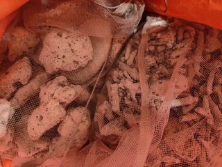 (Category: ) located in . Submitted by pinesmkt (Listing ID 1326219647, Image 1). Description: .
