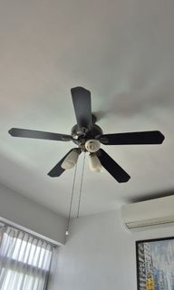 (Category: ) located in . Submitted by lynnie77 (Listing ID 1326184893, Image 1). Description: .