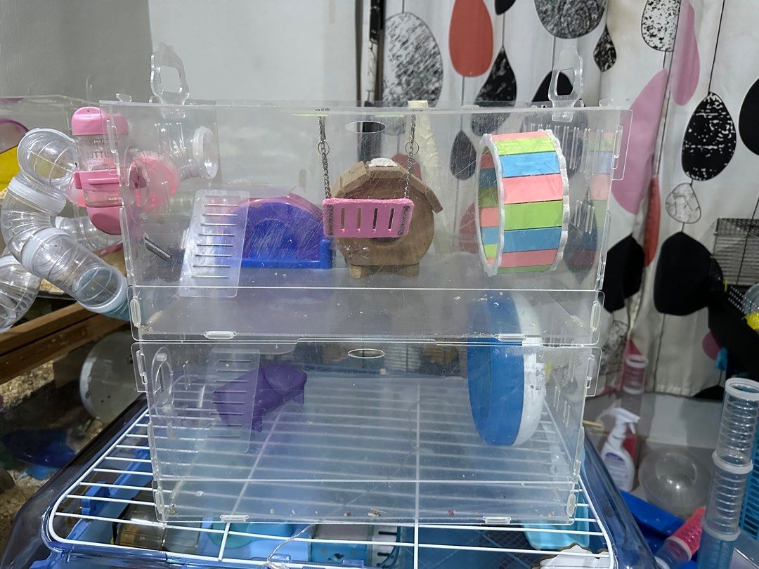 Hamster cage for sale, Pet Supplies, Homes & Other Pet Accessories on ...