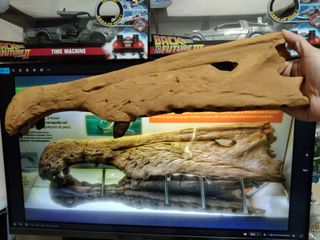(Category: ) located in . Submitted by paleoevidence (Listing ID 1326288881, Image 1). Description: .
