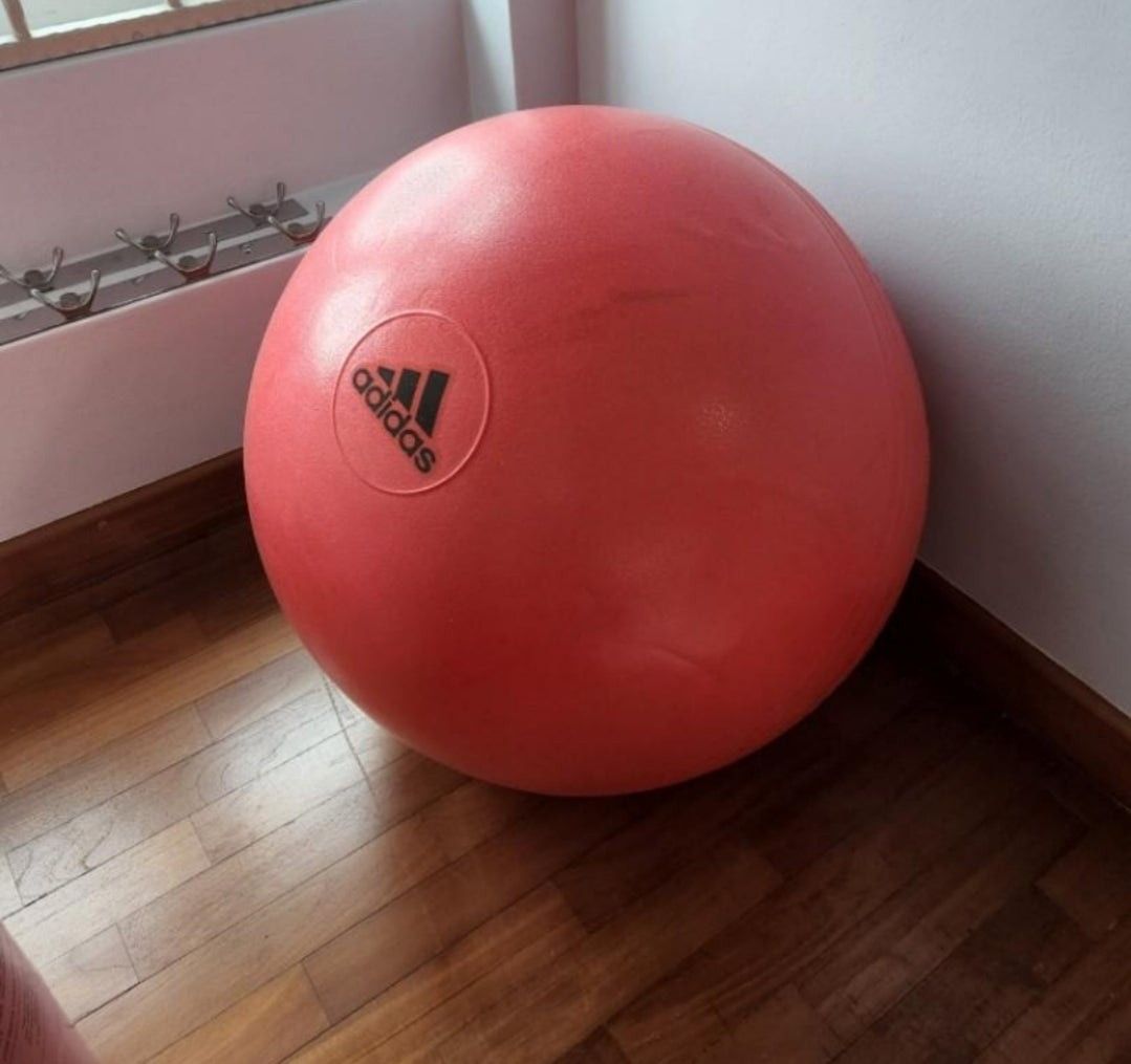 Adidas gym ball 55cm online