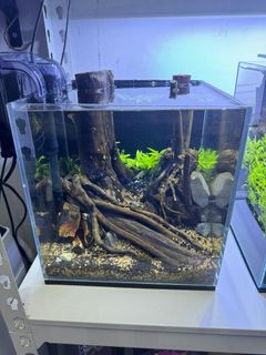(Category: ) located in . Submitted by faizibrahim4 (Listing ID 1326426561, Image 1). Description: .