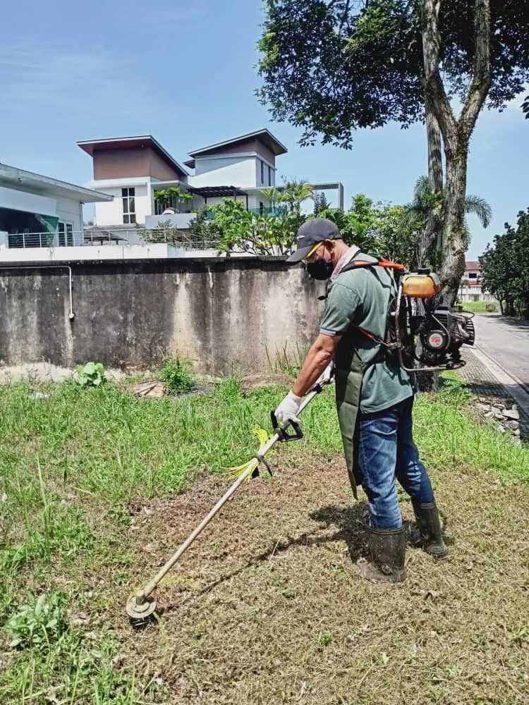 Grass plants cutting and trimming64884983174529115