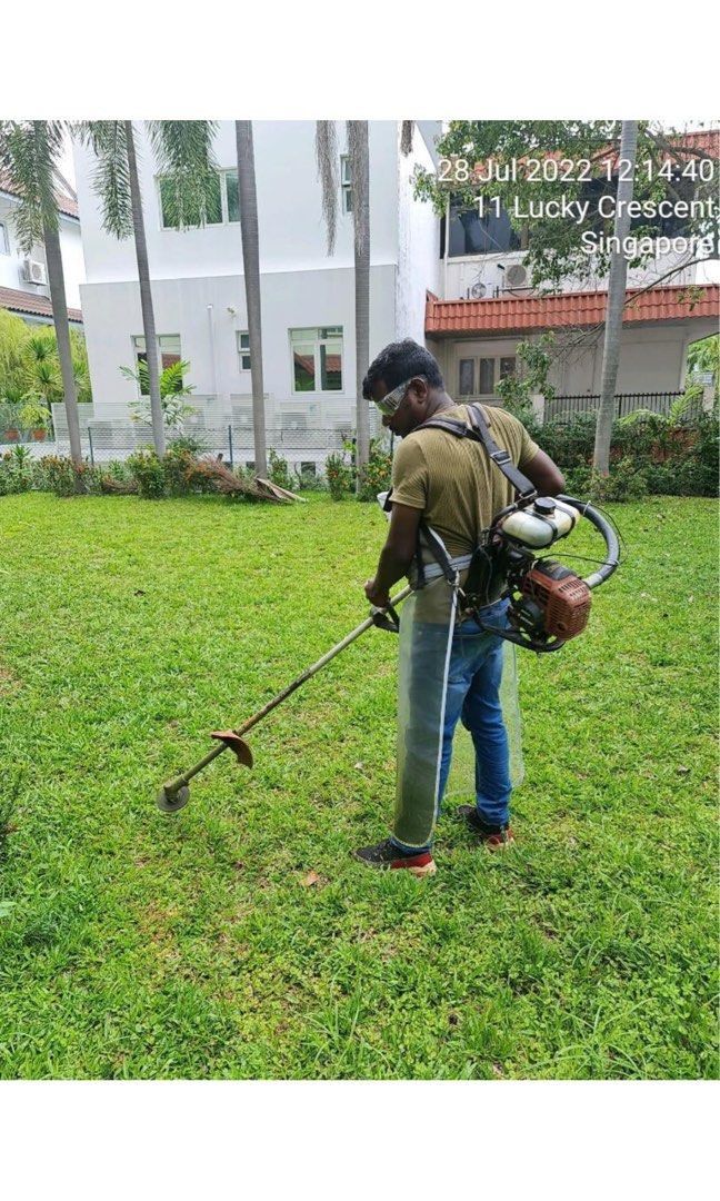 Grass plants cutting and trimming64884983174529113
