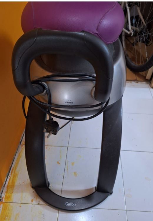 Igallop for SALE less than a year old