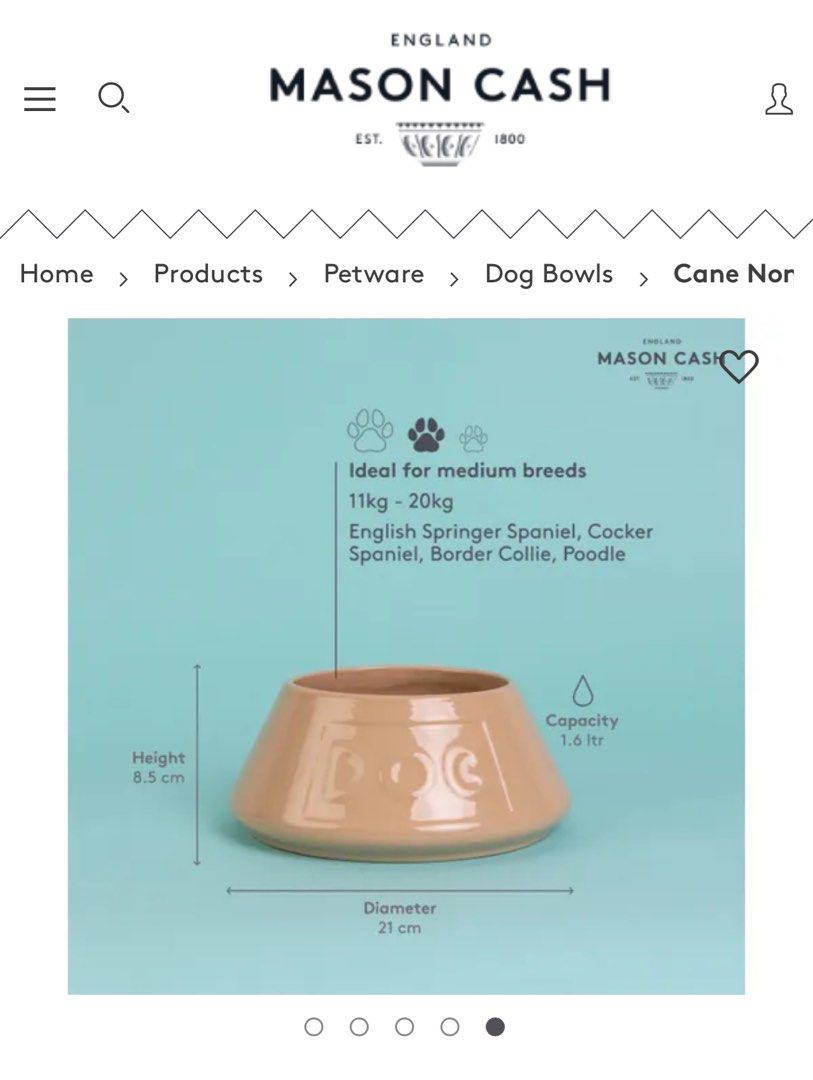 Mason cash spaniel bowl online