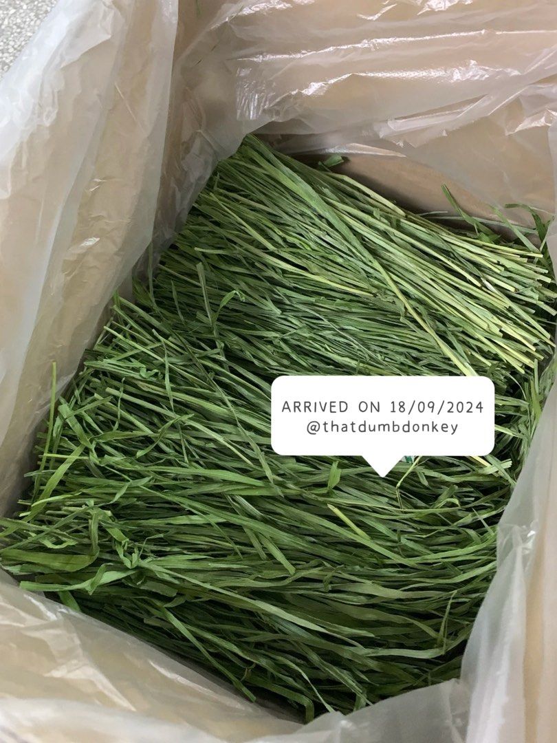 Premium Timothy hay 3rd third cut (for hamster, rabbit, chinchilla