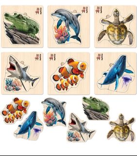 （分類：）位於 。 由 skyhtk 提交（商品編號 1326399844，圖片 1）。簡介： 。