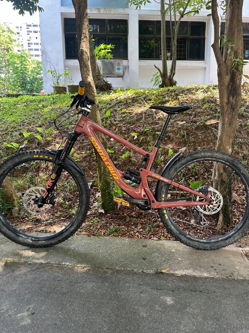 Santa cruz bronson red tide 2025