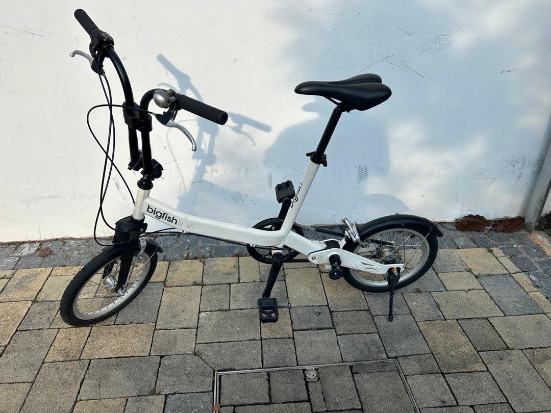 Bigfish Line foldable bicycle
