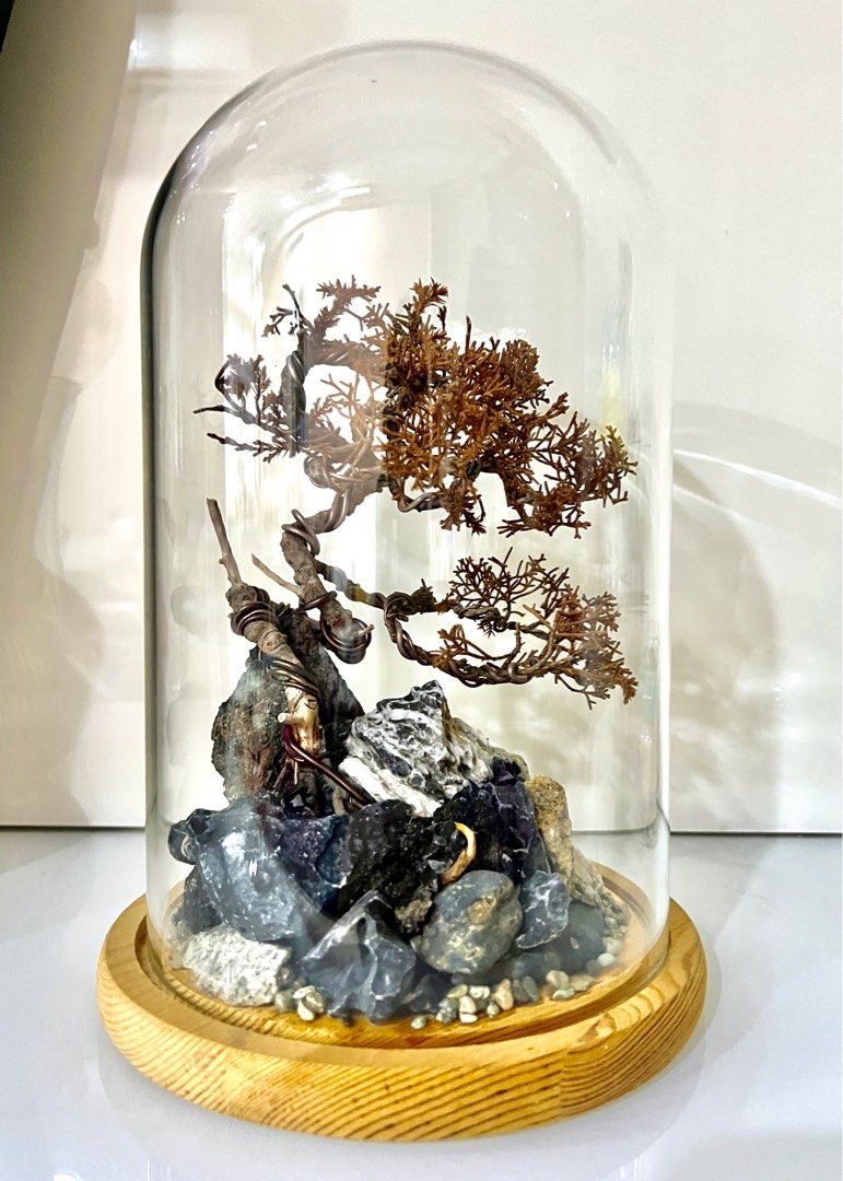 Shimpaku Juniper Bonsai Custom Art Glass Dome display cloche glass,  Furniture & Home Living, Gardening, Plants & Seeds on Carousell