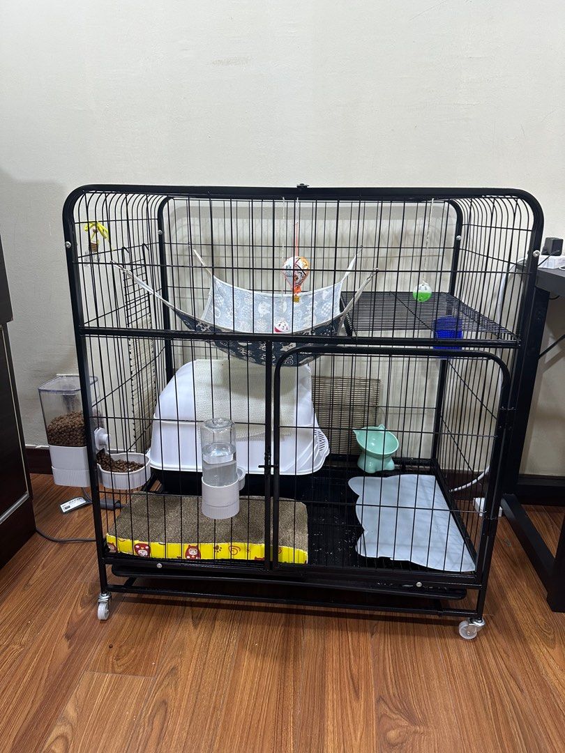 Cat Cage Pet Supplies Homes Other Pet Accessories on Carousell