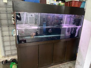 (Category: ) located in . Submitted by farisyu90 (Listing ID 1326542688, Image 1). Description: .