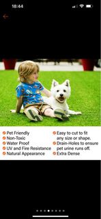 (Category: ) located in . Submitted by pawliday (Listing ID 1326591189, Image 1). Description: .