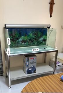(Category: ) located in . Submitted by jofulus (Listing ID 1326612669, Image 1). Description: .