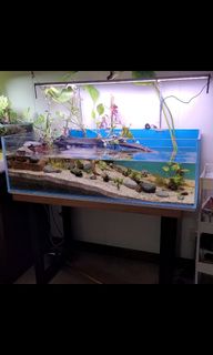 (Category: ) located in . Submitted by philip9899 (Listing ID 1326501107, Image 1). Description: .