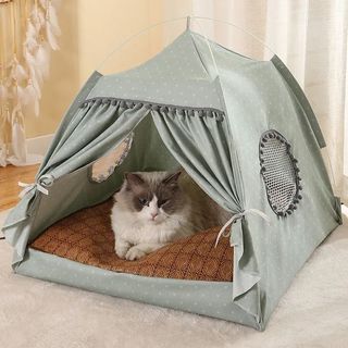 (Category: ) located in . Submitted by mypettomo (Listing ID 1326577922, Image 1). Description: .