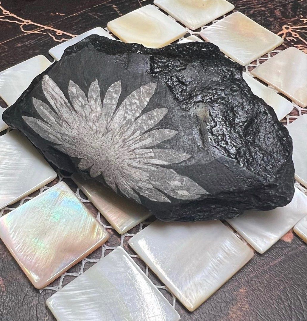 菊花石Chrysanthemum Stone, 名牌, 飾物及配件- Carousell