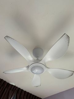(Category: ) located in . Submitted by ethanz1218 (Listing ID 1326791019, Image 1). Description: .